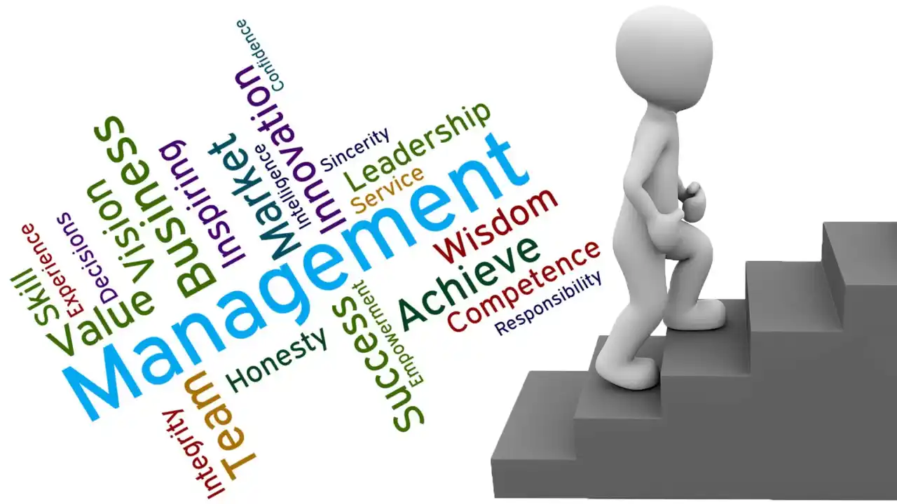 Components of Management-What are Management Components-What are the Components of Management
