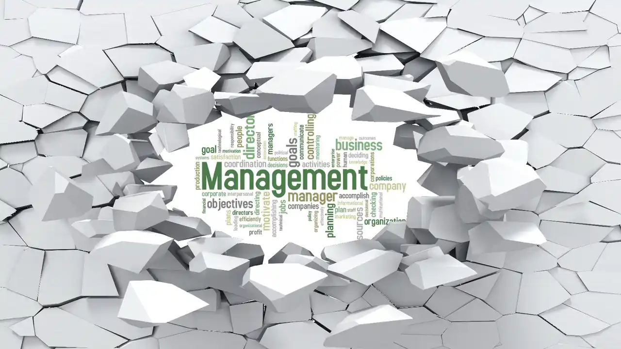 Purpose of Management-What is Management Purpose-What is the Purpose of Management